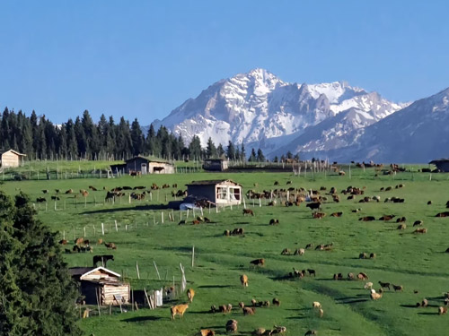 Beautiful scenery of Xinjiang